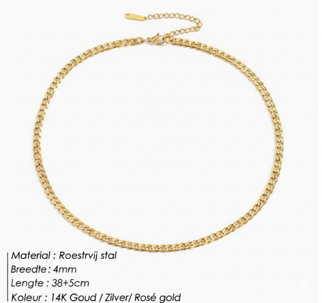 Halsketting met platte schakels en randketting | Goud